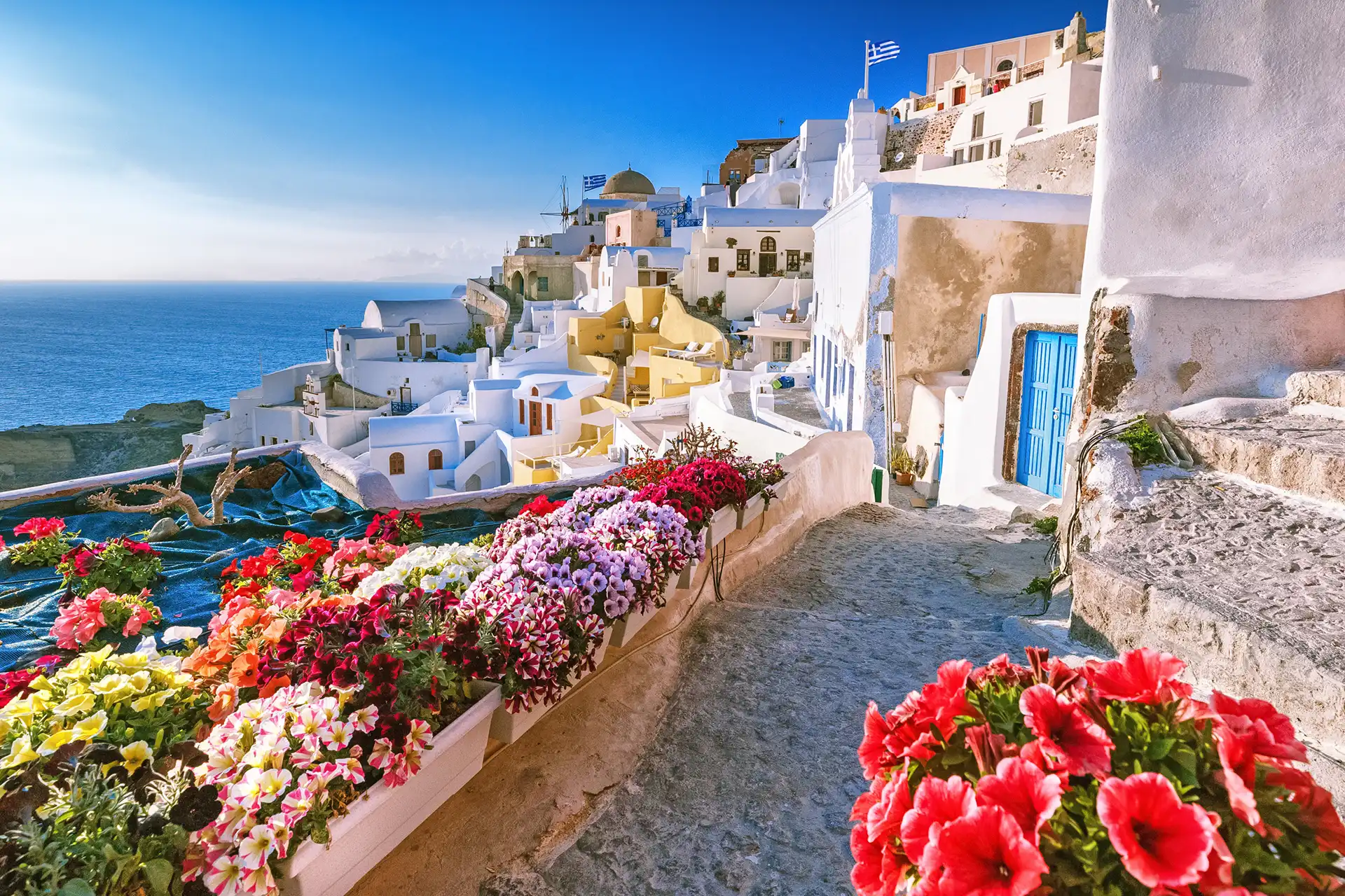 Scenic view of traditional cycladic houses on small street with flowers in foreground, Oia village, Santorini, Greece. Sunset view point. Holidays ... See More
